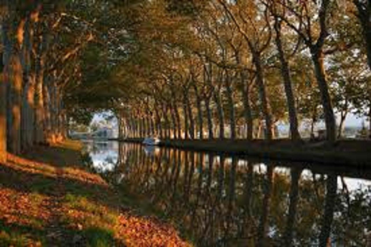 Apartmán Au Pied De La Cite Carcassonne Exteriér fotografie